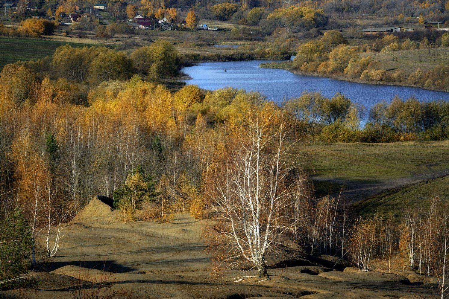 , Анатолий Зверев