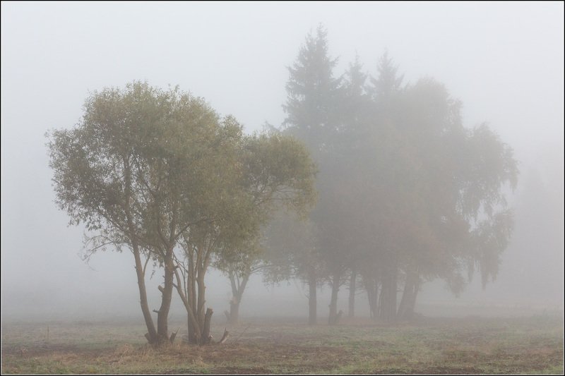 россия, калужская обл В туманной тишине фото превью