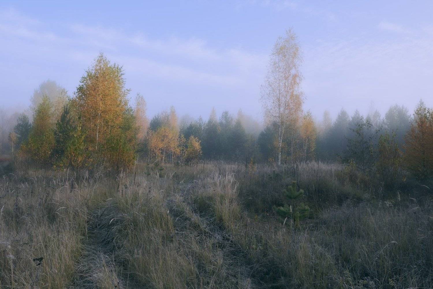 , Сергей Овчинников