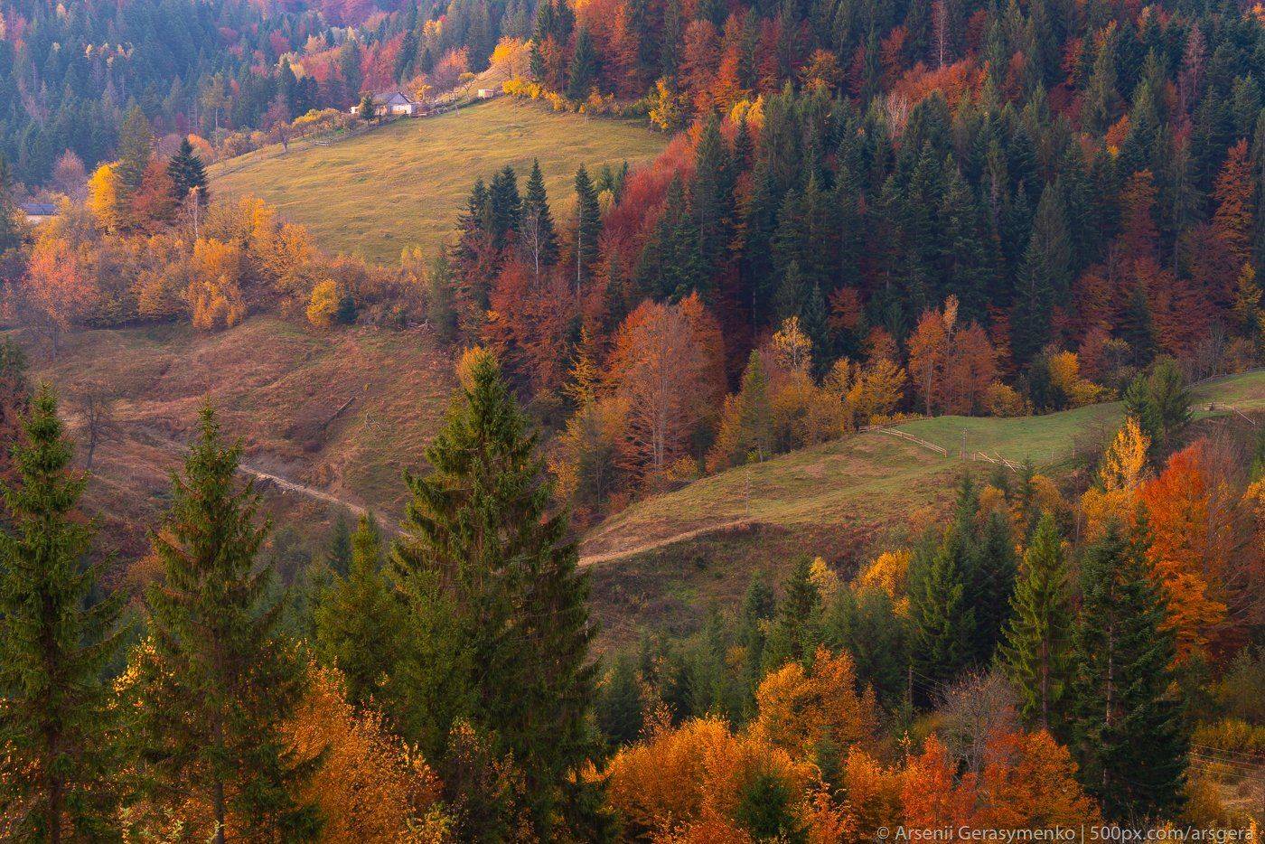 hut, carpathians, carpathian mountains, pasture, countryside, picturesque, mood, tranquil, houses, wooden, rural, mountains, foliage, wonderland, land, meadow, field, scenic, tourism, season, house, autumn, mountain, landscape, fall, background, beautiful, Арсений Герасименко