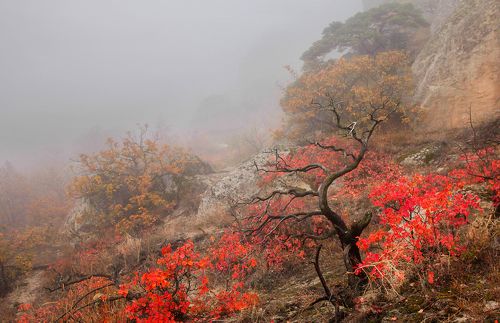Осень в горах..