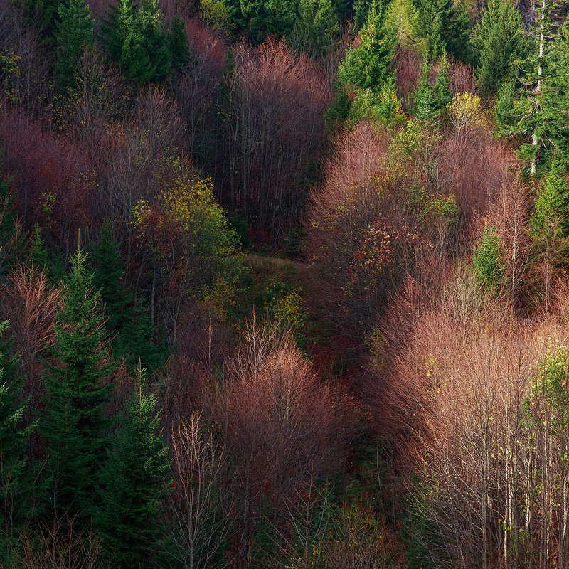 Игра света фото превью