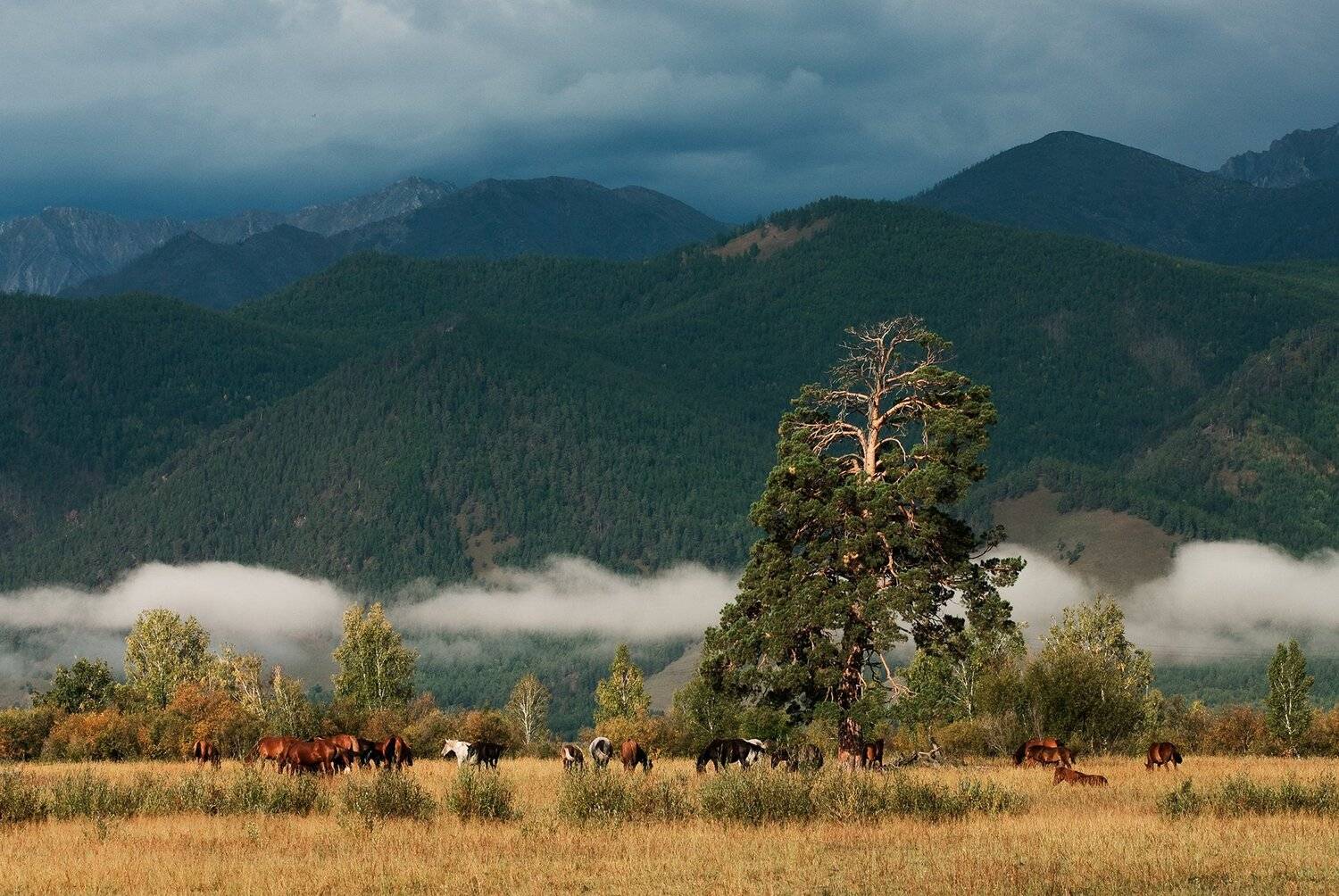, Борис Леваков