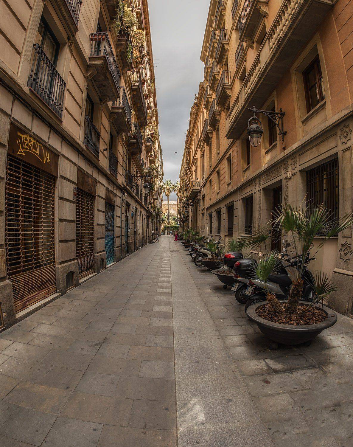 барселона, Gunter Graiss