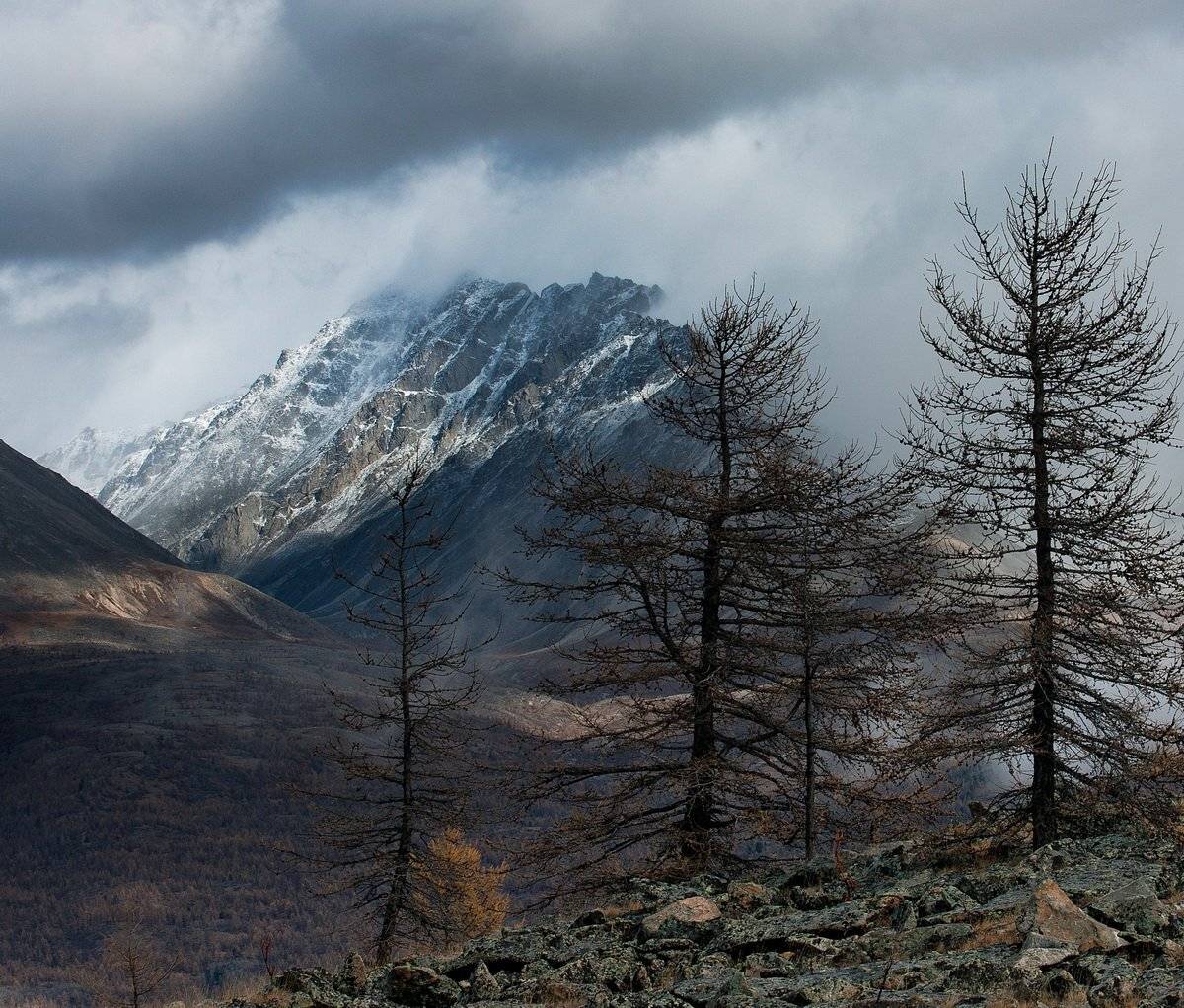 , Алексей Трофимов