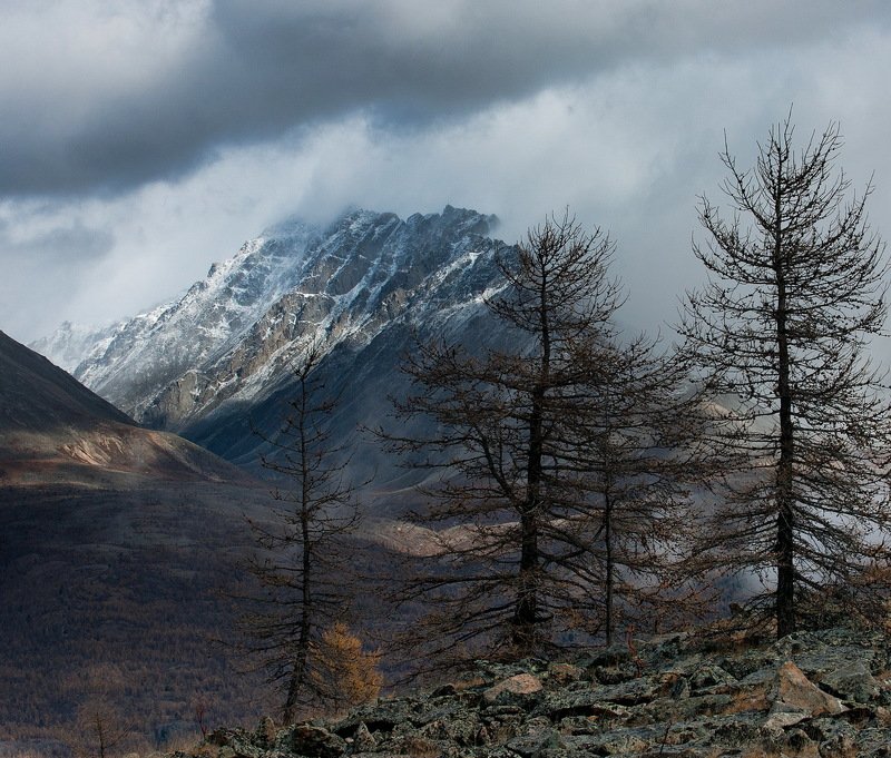 Скоро зима... фото превью