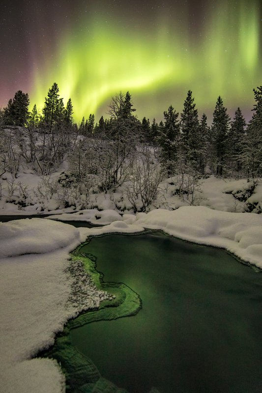 ..... фото превью