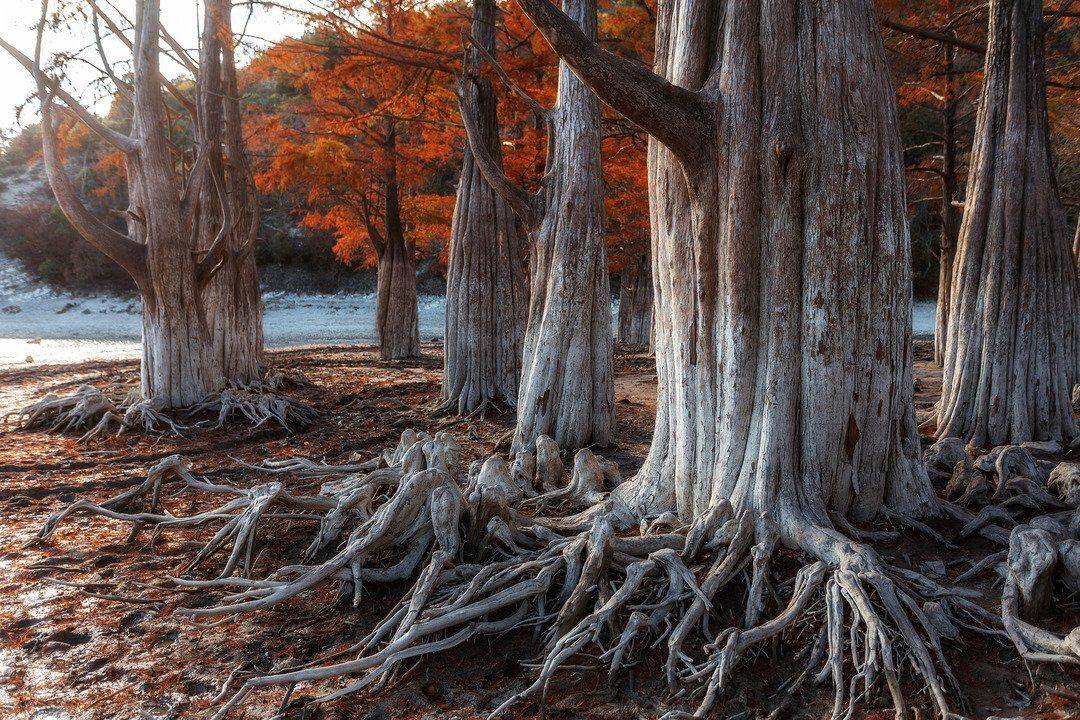 , Павел Сагайдак