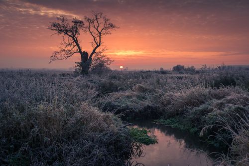 Morning on the Rzadza River