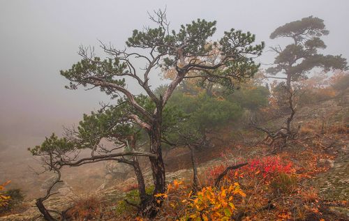 Осенний пейзаж..