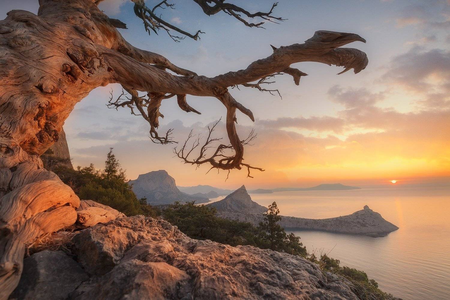 , Александр Костенко