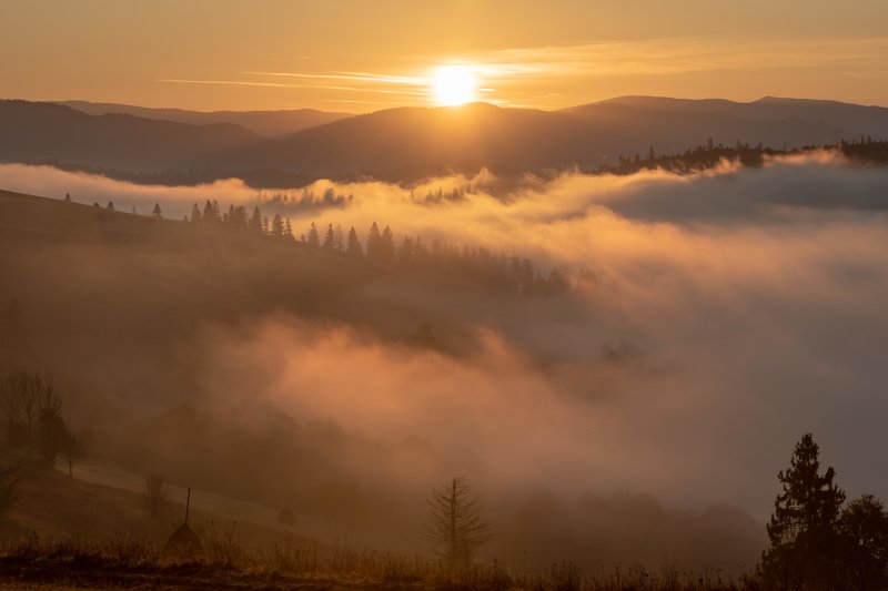 карпаты. осень. туман. рассвет Карпаты. Рассвет в долине фото превью