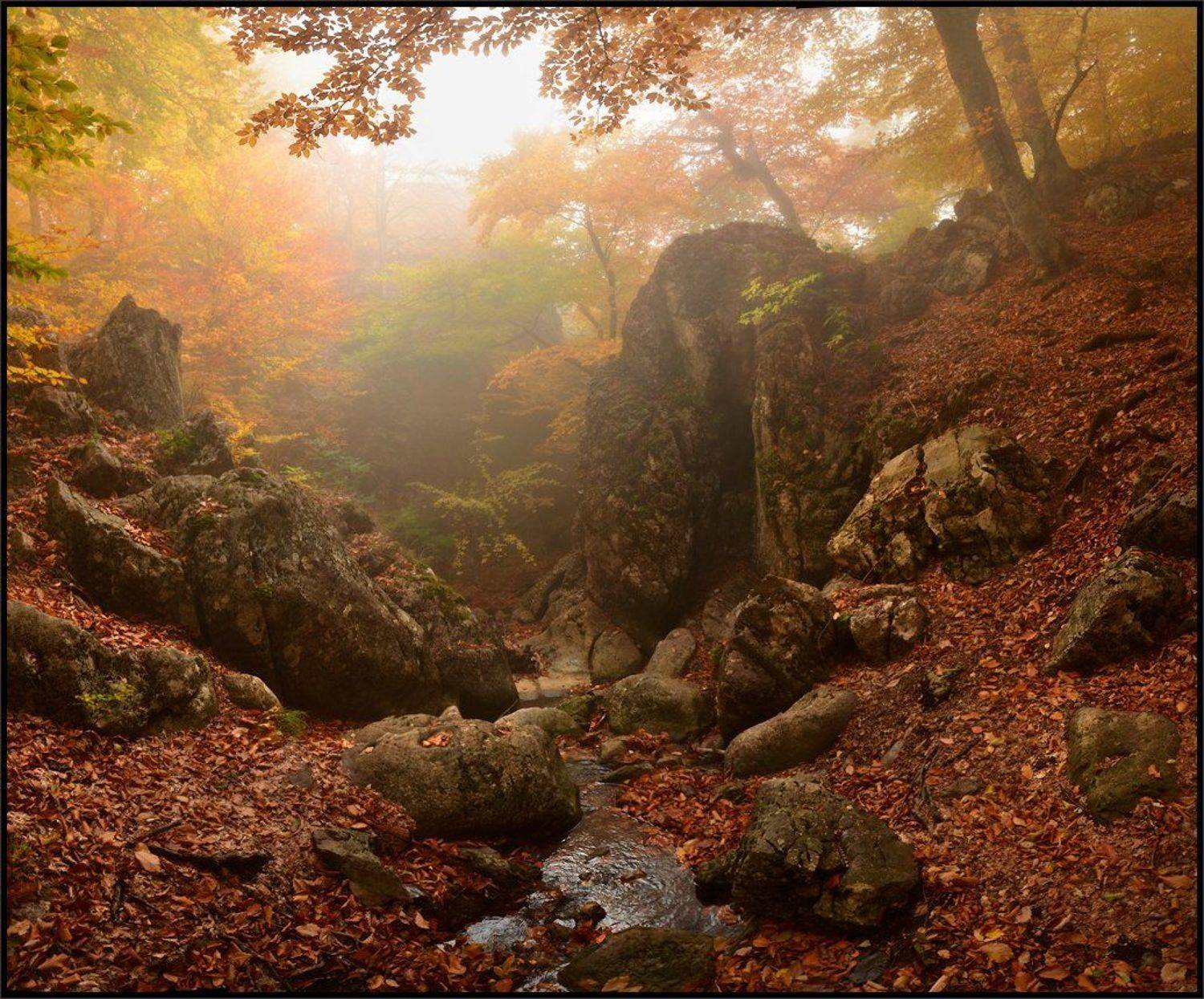 , Владимир Метцгер