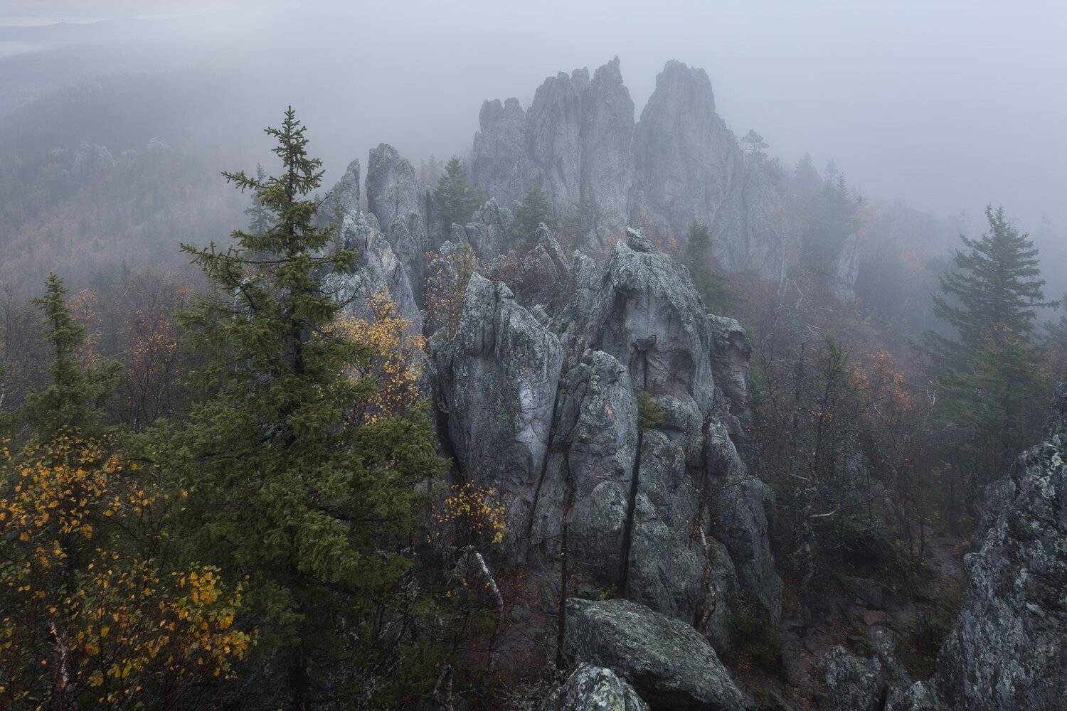 , Михаил Туркеев