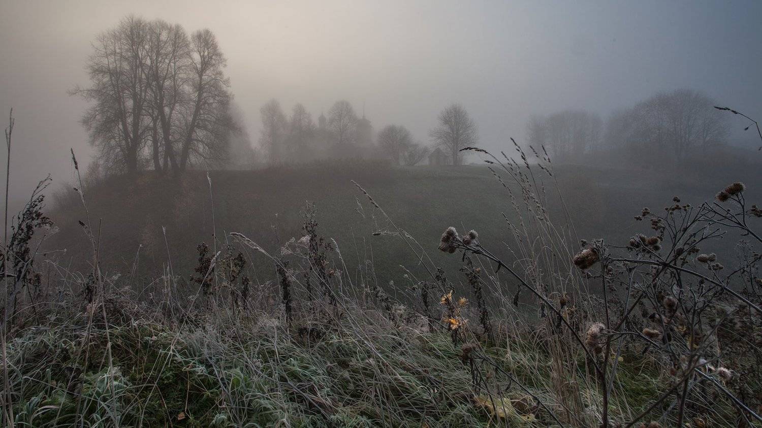 Октябрь Тригорское Псковская обл., Андрей Леонидович