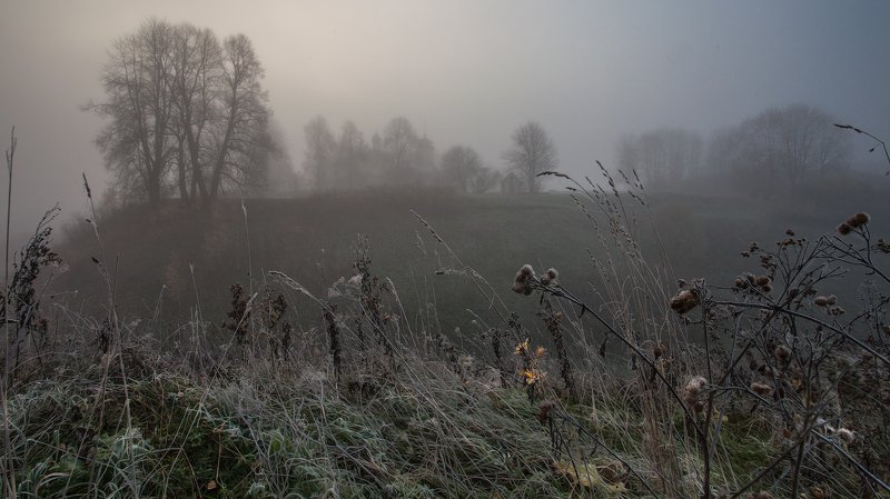 Октябрь Тригорское Псковская обл. Осень жизни фото превью