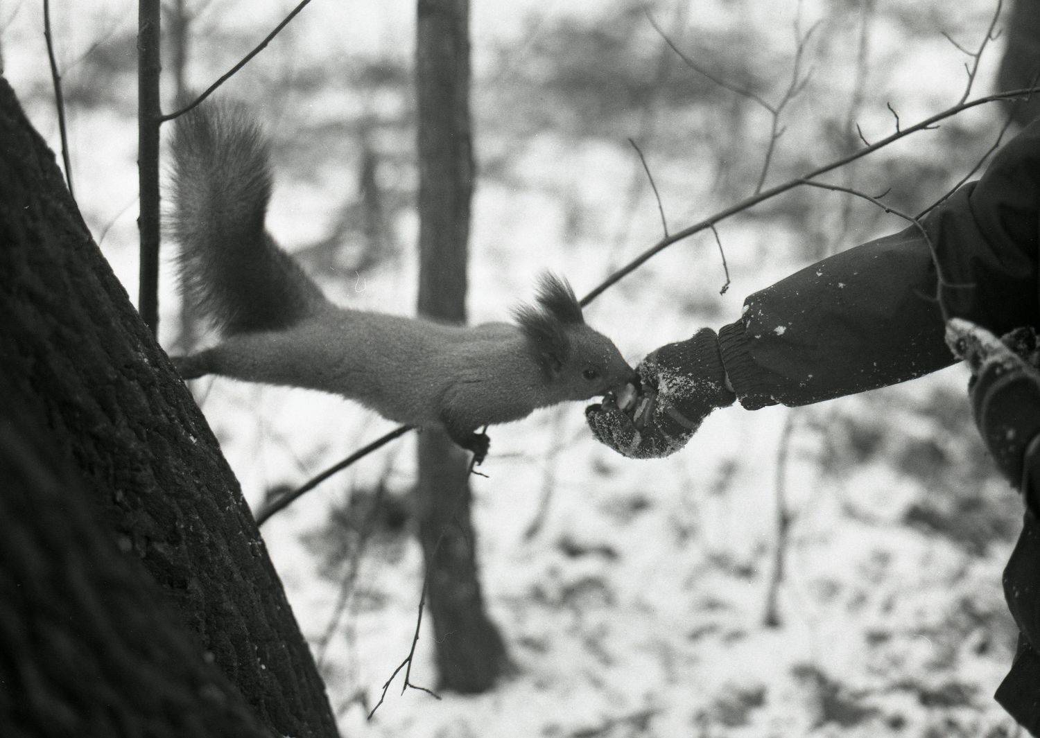 , Илья Глобин