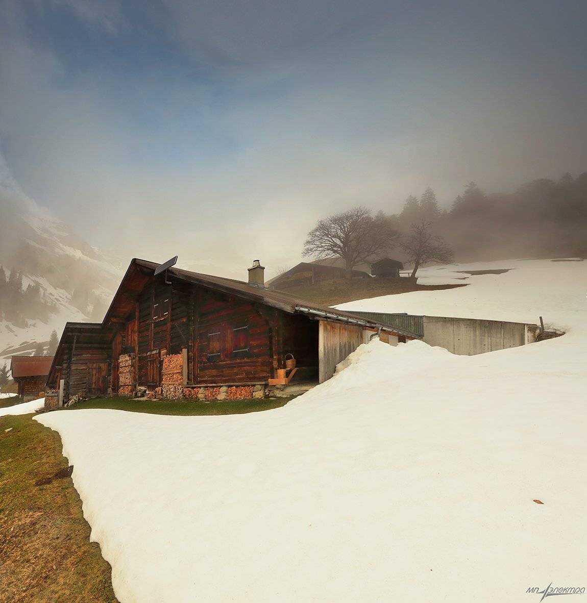 swiss, Матвеев Николай