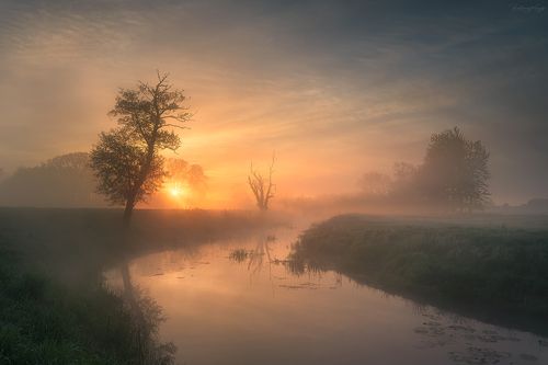 An Enchanted Moment