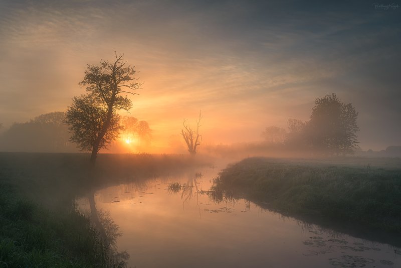 morning, fog, trees, river, nature An Enchanted Moment фото превью