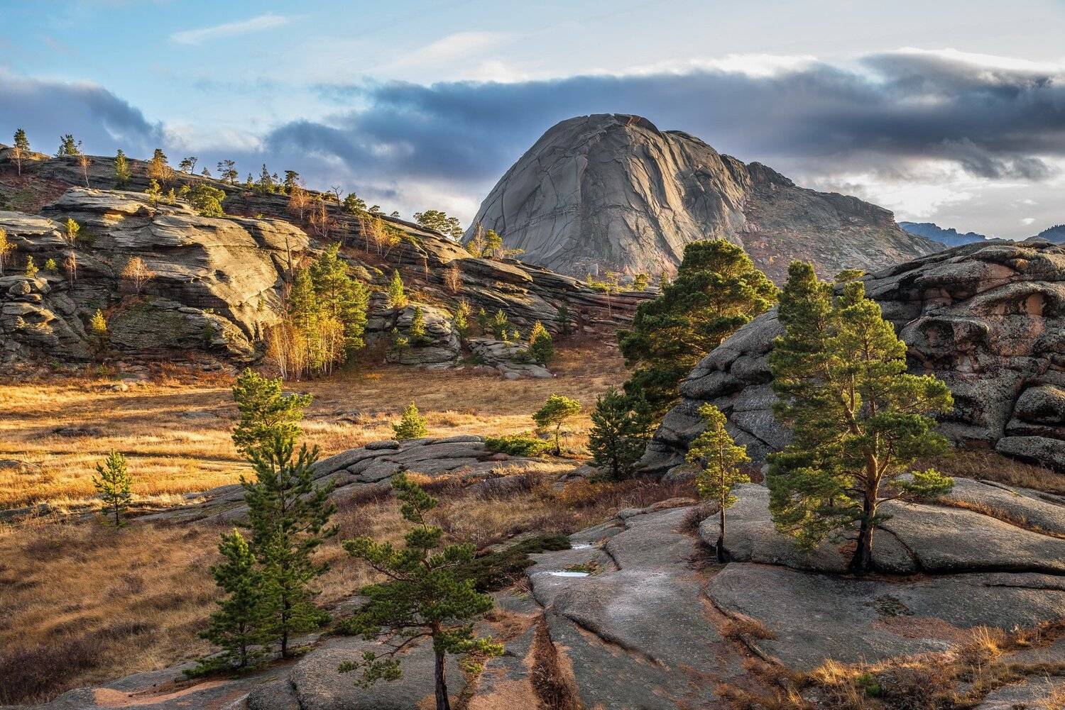 , Евгений Дроботенко