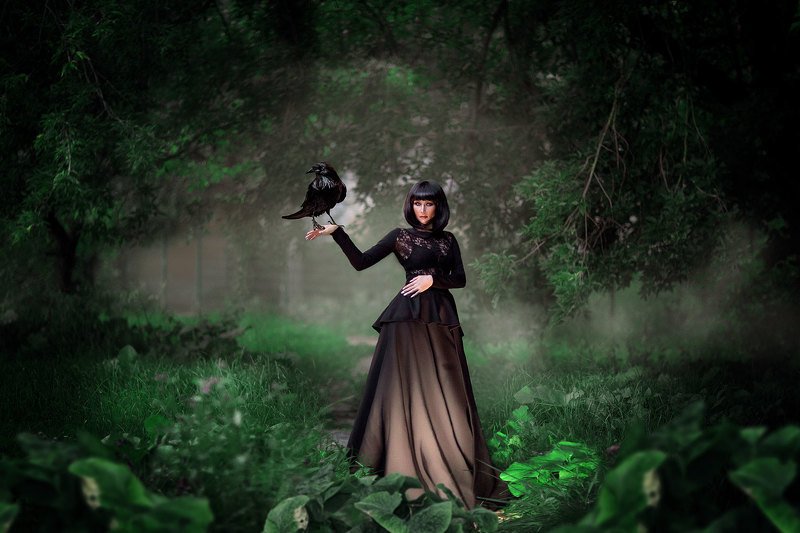 вороны фото превью