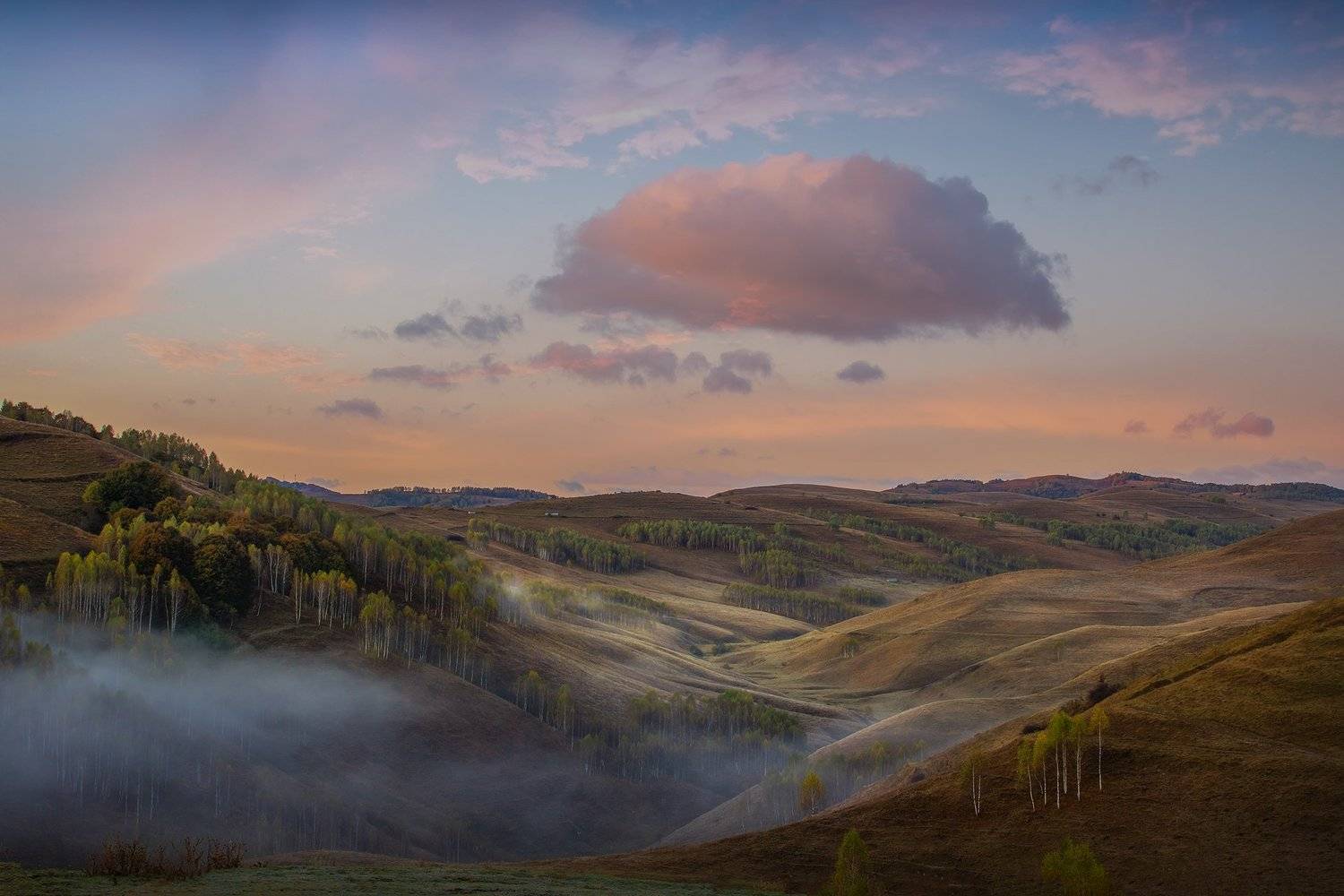 , Елена Маковоз