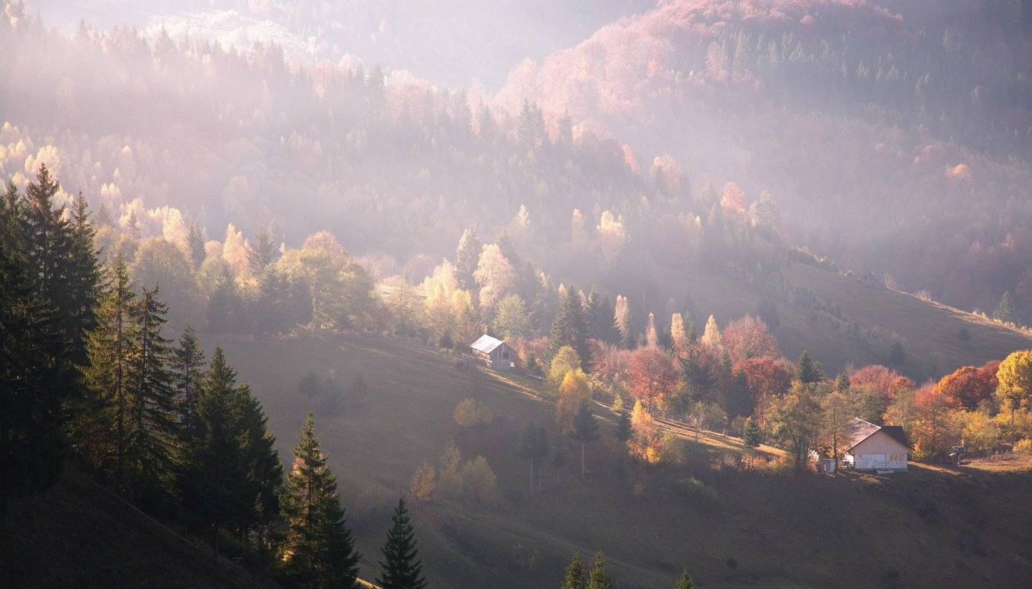 румыния, Aricha