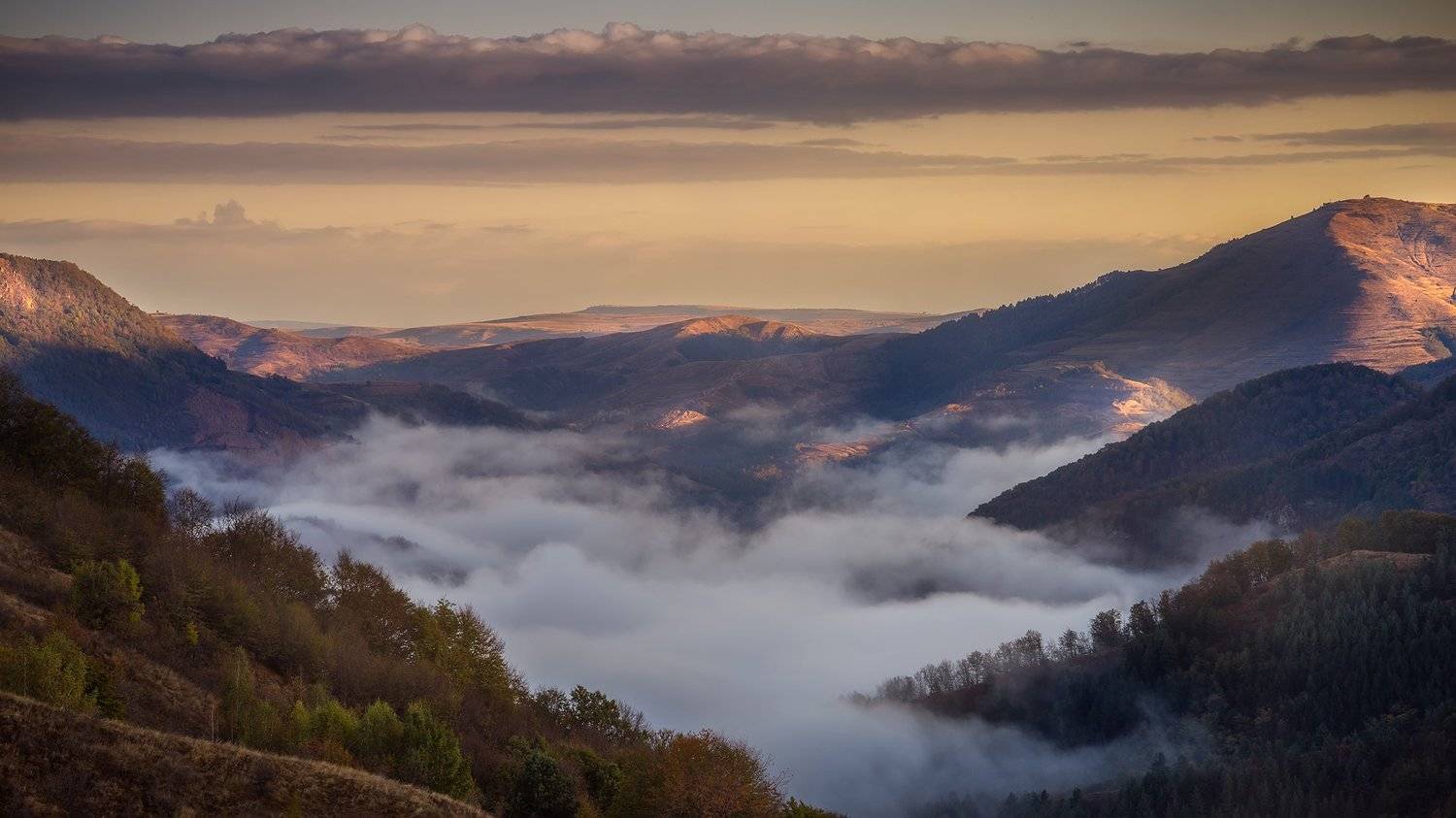 , Елена Маковоз