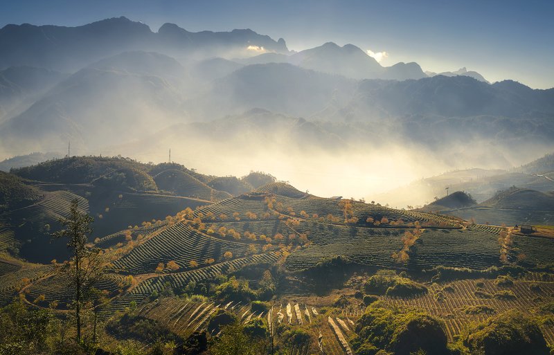 Sunset on the tea hill фото превью