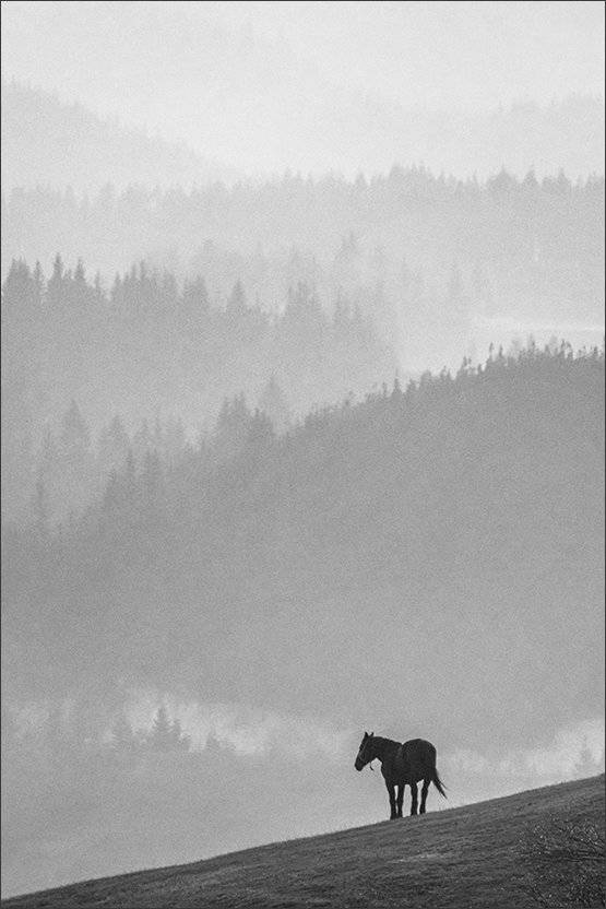 portrait, composition, bw, girl, портрет, чб, Denis Buchel (Денис Бучель)