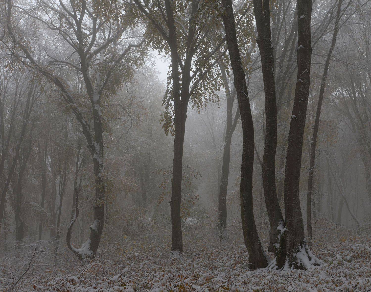 первый снег, кизиловка, кабардино-балкария, Хасан Журтов