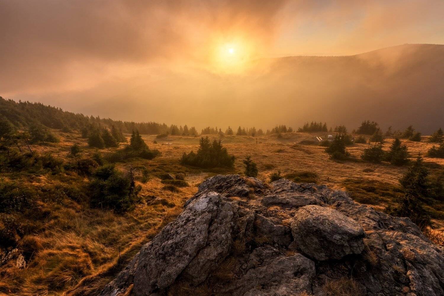 landscape, tree, sunset, Petr Fiala