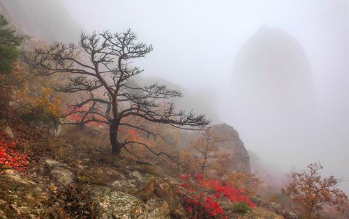 Осенний пейзаж..