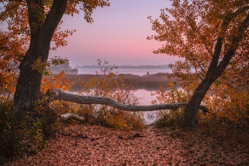 киев, днепр, оболонь, осень Другой Киев фото превью