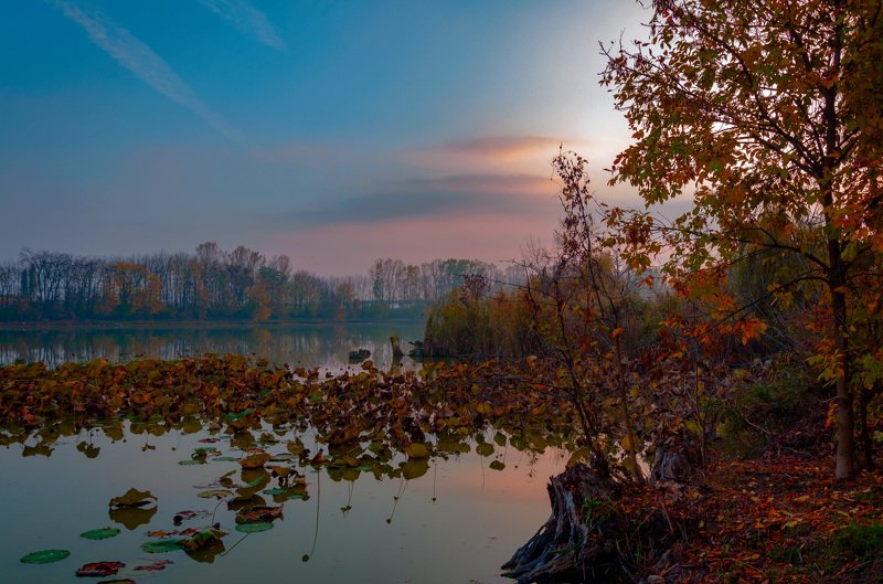 Рыжая осень речки Ставок фото превью