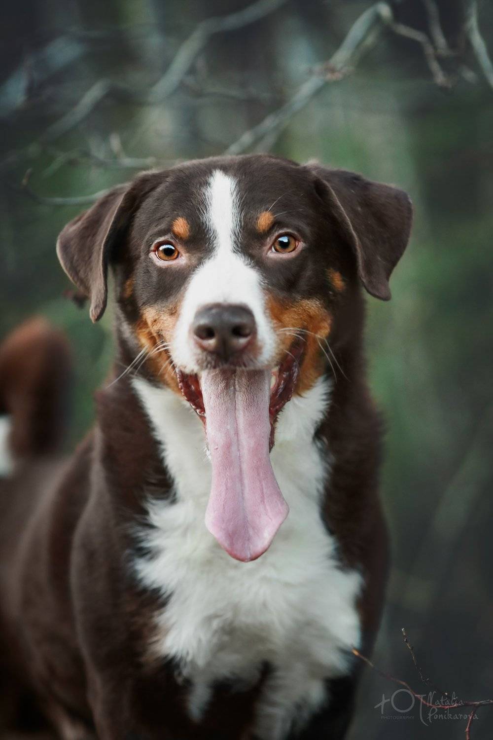 , Наталия Поникарова