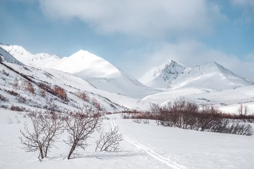 Зимний путь