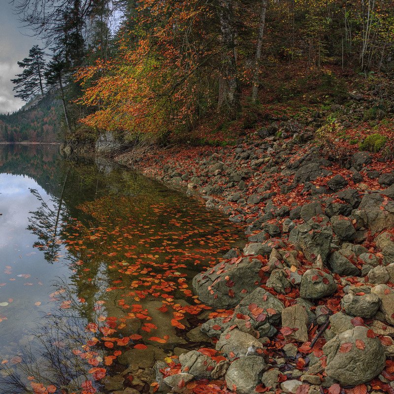Осеннее... фото превью