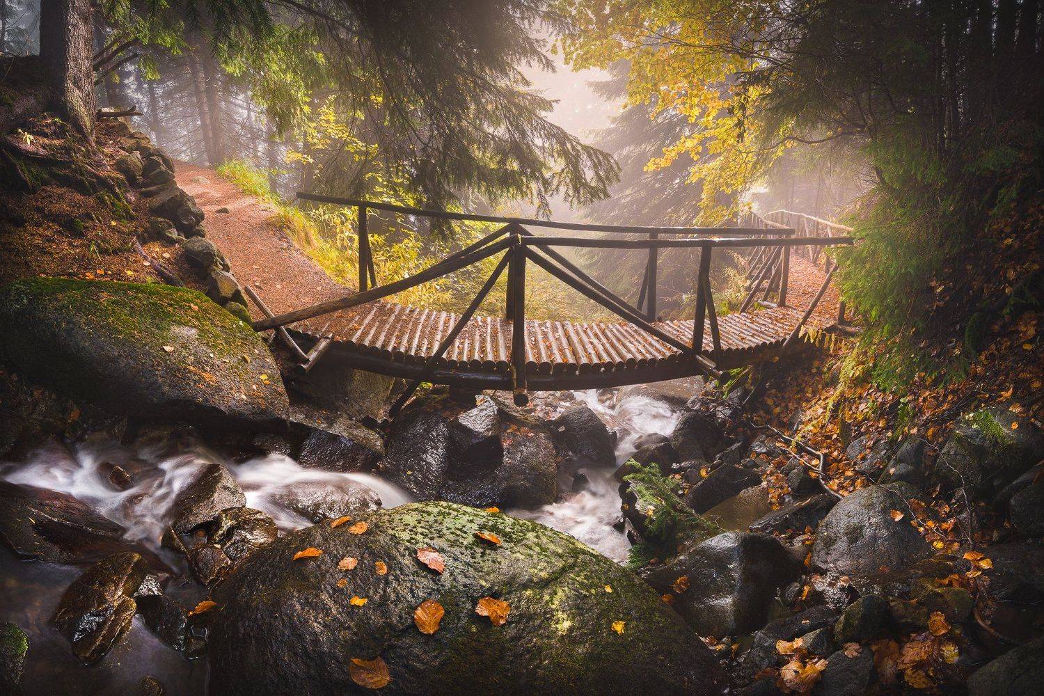 vitosha, autumn, bulgaria, travel, bridge, hike, path, Калин Панчев