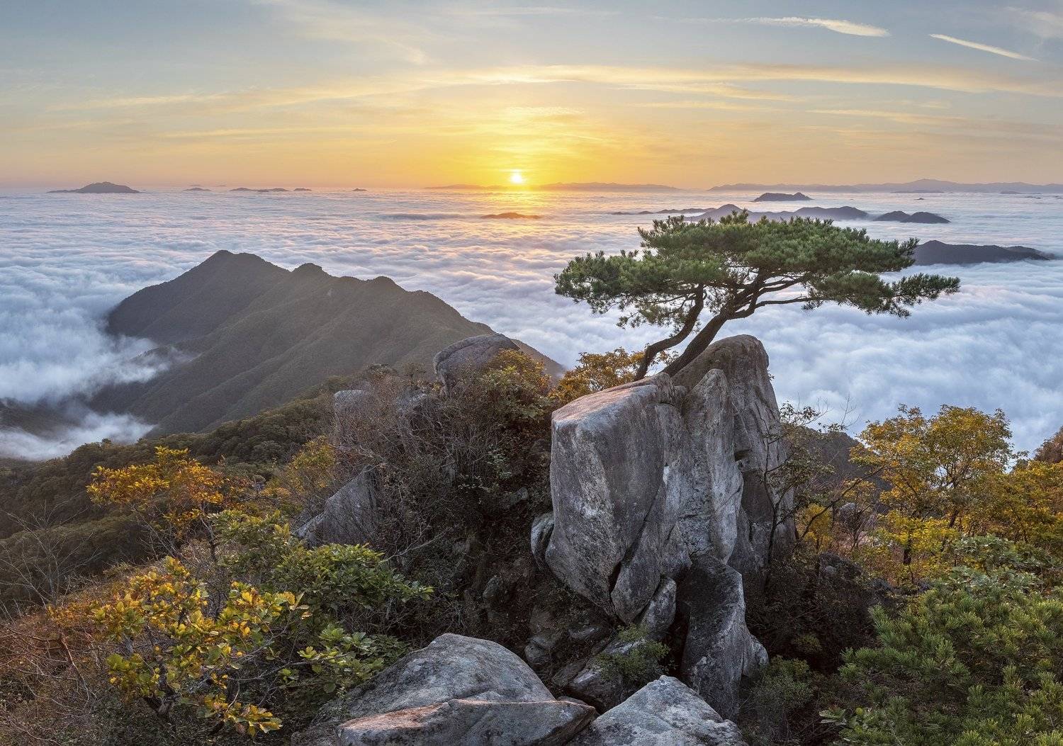 mountains,peak,hiking,fog,clouds,pine,tree,cliff, Jaeyoun Ryu