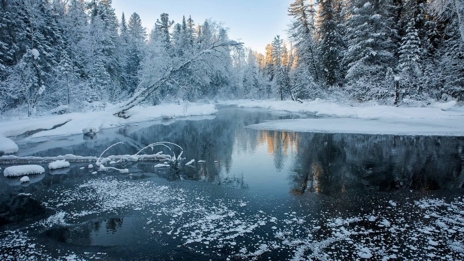 , Юрий Мальцев