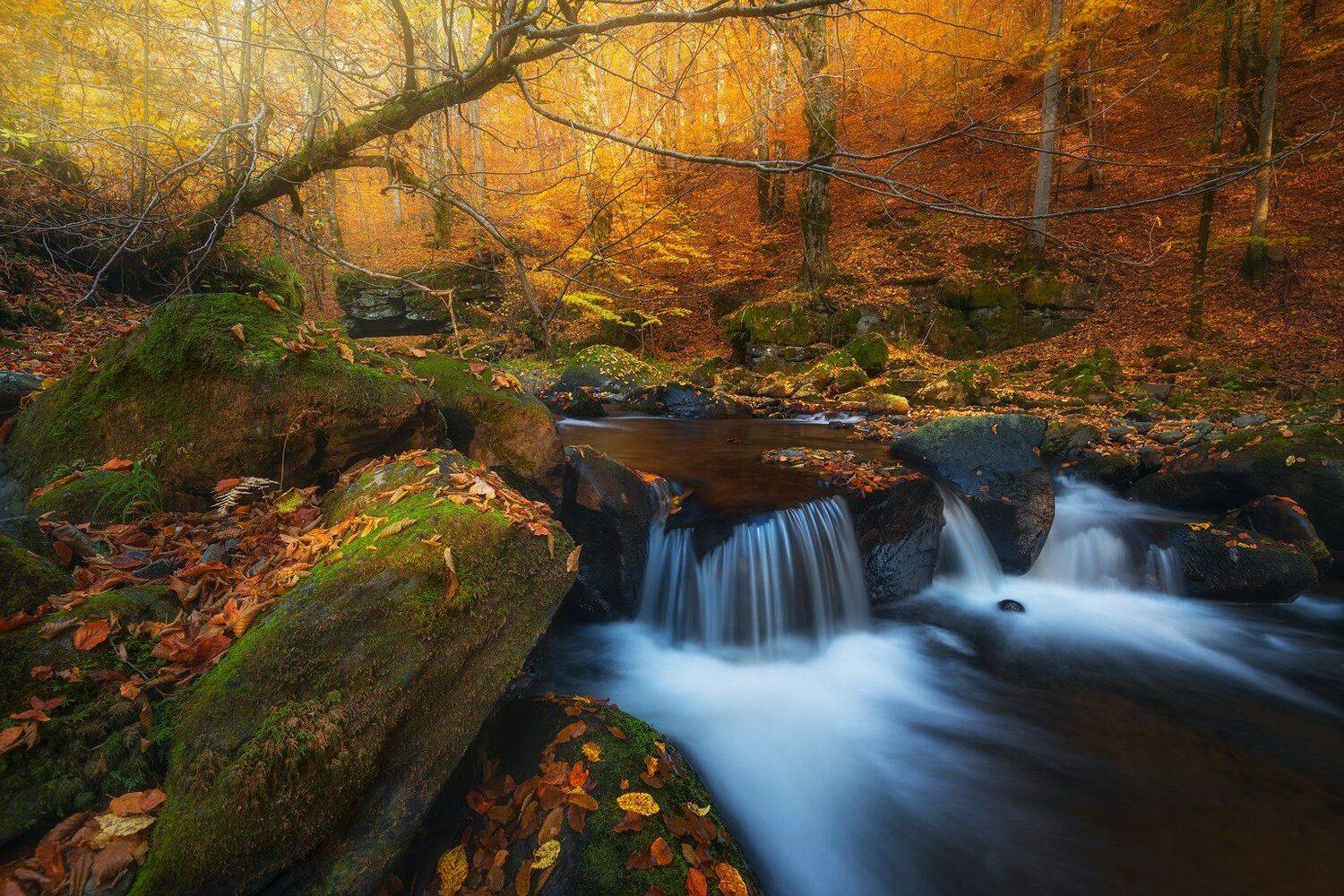 , Szabo Zsolt Andras