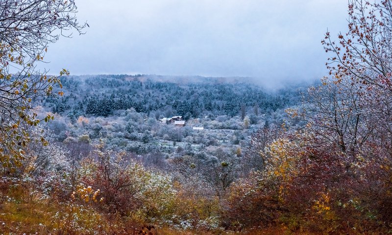 Зиме на встречу... фото превью