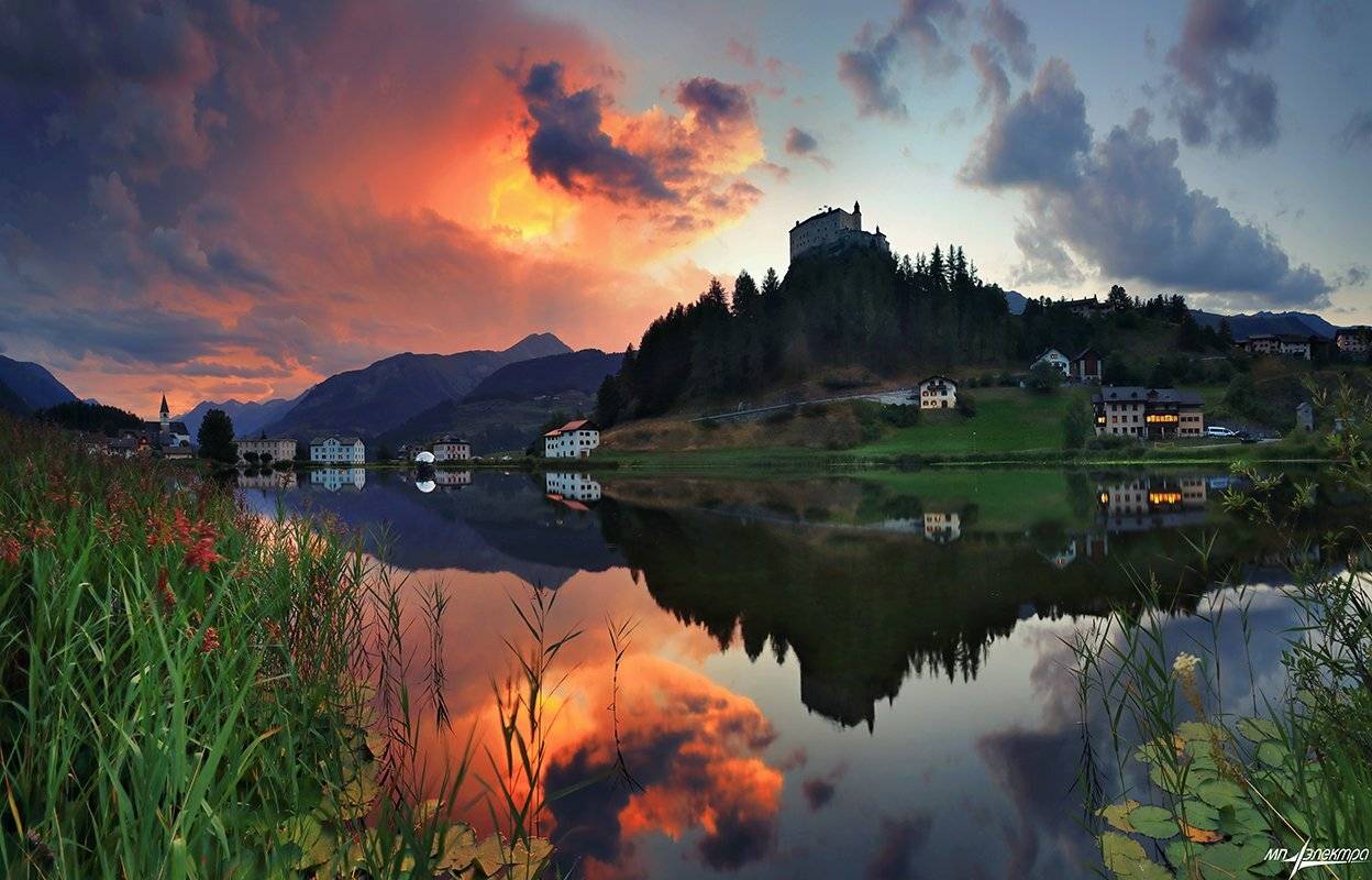 swiss, Матвеев Николай