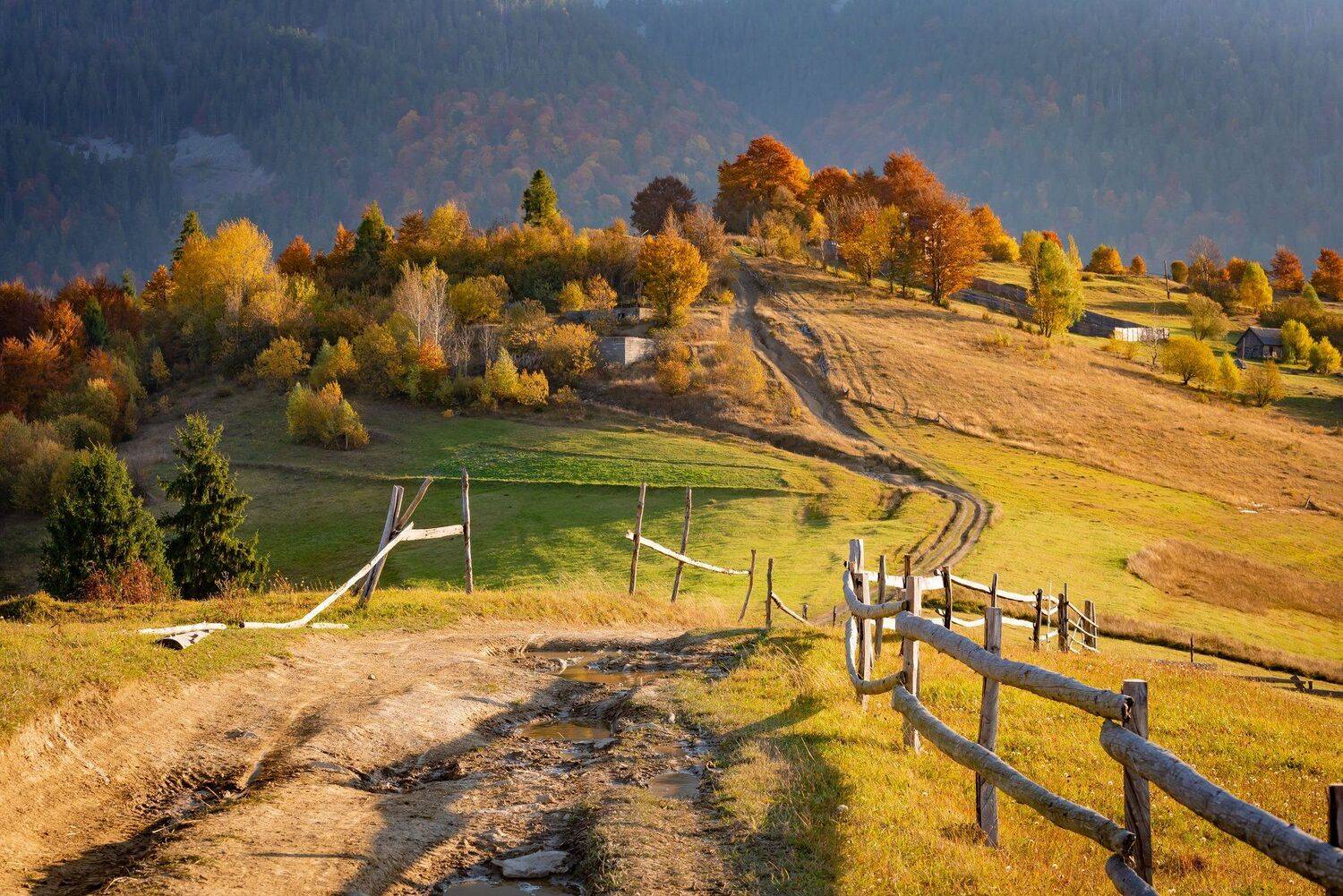 карпаты. осень, Татьяна Степанова