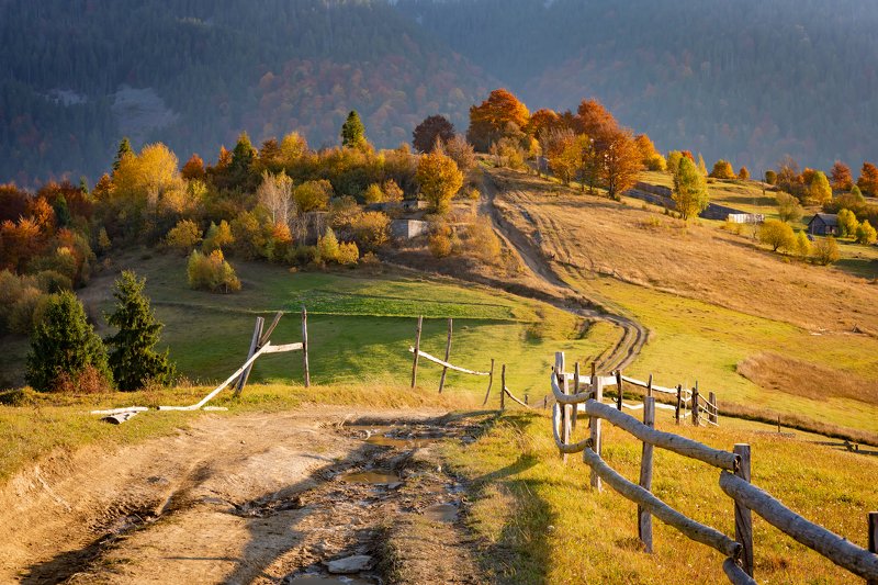карпаты. осень Карпатскими дорогами фото превью