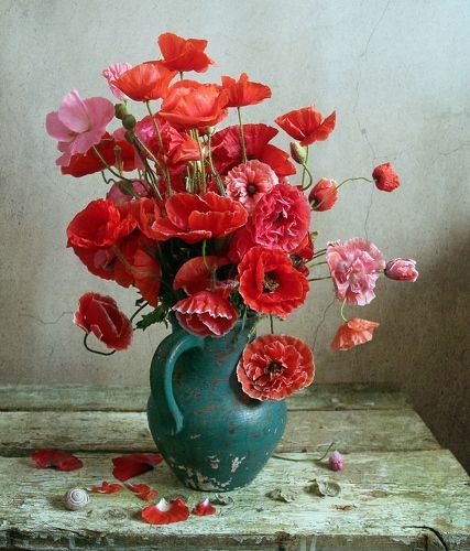 Как алых бабочек развернутые крылья..