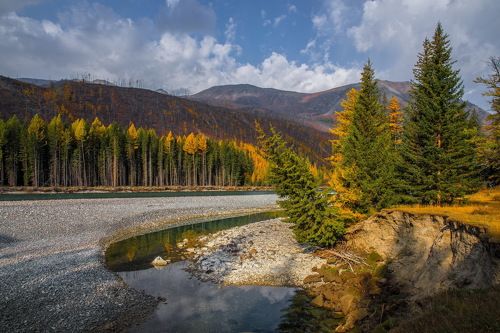 На реке Аргут.