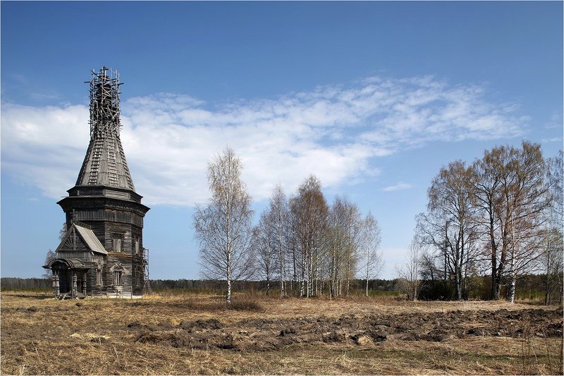весна, поле, храм, деревянный храм, реставрация, север, русский север, каргополье, Май. фото превью